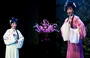 黃梅戲視頻下載打包150-175