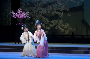 黃梅戲視頻下載打包029-039