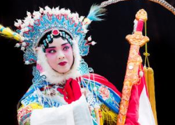 豫劇視頻下載打包001-030