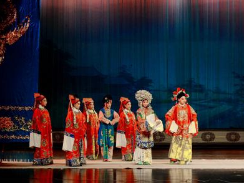 豫劇視頻下載打包223-249